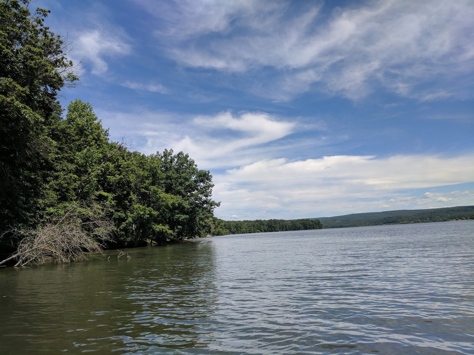 Yellow Creek State Park lake in summer with lush green woodland trees